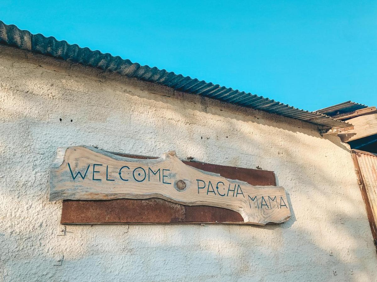 Be A Guest At Pachamama Community Apartment Alcacer do Sal Bagian luar foto