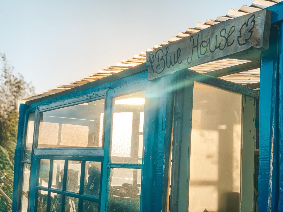 Be A Guest At Pachamama Community Apartment Alcacer do Sal Bagian luar foto