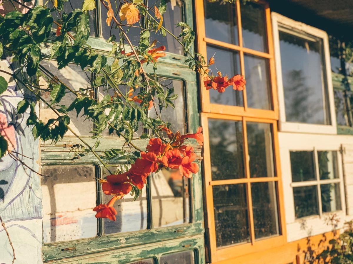 Be A Guest At Pachamama Community Apartment Alcacer do Sal Bagian luar foto